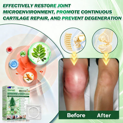 𝐀𝐔 𝐃𝐨𝐜𝐭𝐨𝐫 𝐑𝐞𝐜𝐨𝐦𝐦𝐞𝐧𝐝𝐞𝐝 ✨|  𝐒𝐋𝐎𝐕𝑰𝑹𝑶𝑵® 𝐔𝐩𝐠𝐫𝐚𝐝𝐞𝐝 𝐋𝐚𝐫𝐠𝐞-𝐂𝐨𝐯𝐞𝐫𝐚𝐠𝐞 𝟏𝟎-𝐢𝐧-𝟏 𝐀𝐝𝐯𝐚𝐧𝐜𝐞𝐝 𝐍𝐚𝐧𝐨 𝐌𝐢𝐜𝐫𝐨𝐧𝐞𝐞𝐝𝐥𝐞 𝐏𝐚𝐭𝐜𝐡 (𝐉𝐮𝐬𝐭 𝐨𝐧𝐜𝐞 𝐚 𝐝𝐚𝐲, 𝐯𝐢𝐬𝐢𝐛𝐥𝐞 𝐜𝐡𝐚𝐧𝐠𝐞𝐬 𝐢𝐧 𝟕 𝐝𝐚𝐲𝐬)